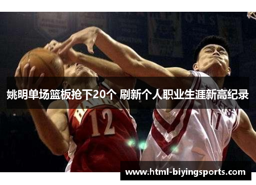 姚明单场篮板抢下20个 刷新个人职业生涯新高纪录
