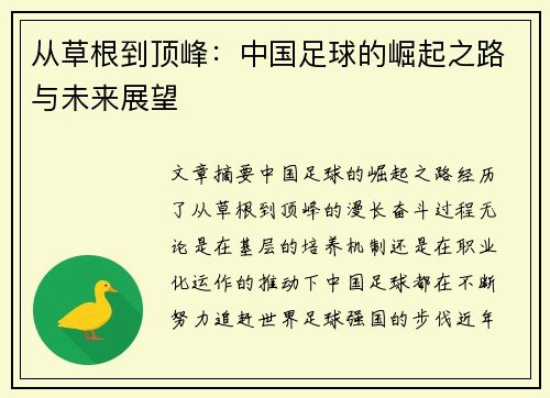 从草根到顶峰：中国足球的崛起之路与未来展望
